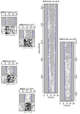 Telling the Seasons Underground: The Circadian Clock and Ambient Temperature Shape Light Exposure and Photoperiodism in a Subterranean Rodent